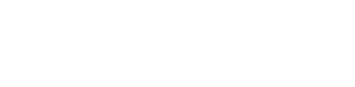 ライジングコンサルタント株式会社